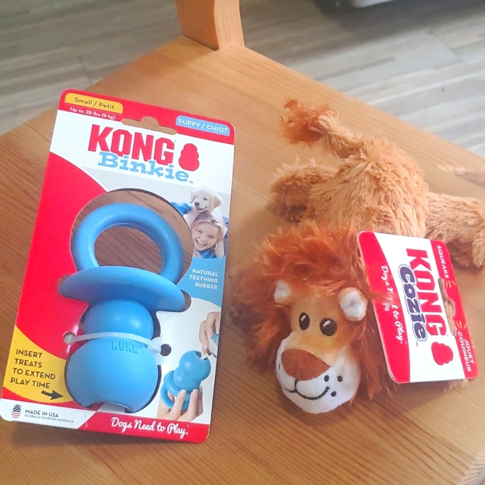 Puppy Toy and Kong